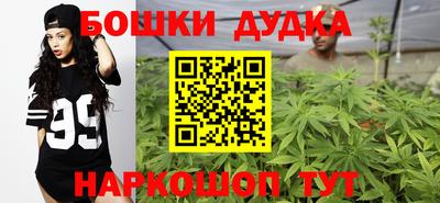 СК Гусев