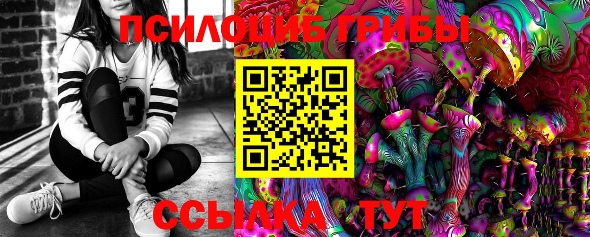 дарнет шоп  Вход с VPN  Михайловск  Псилоцибиновые грибы мицелий 